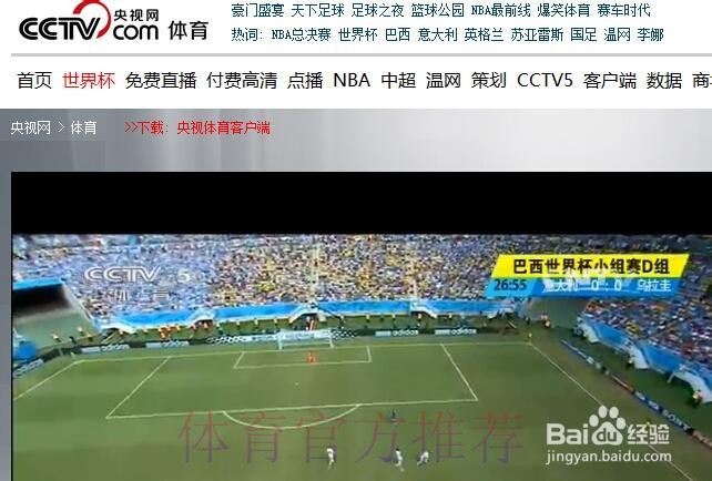 世界杯直播入口高清